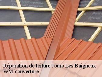 Réparation de toiture 21450