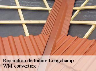 Réparation de toiture 21110