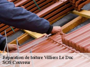 Réparation de toiture 21400