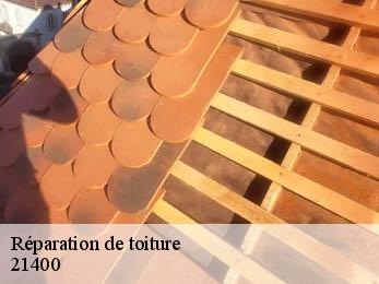 Réparation de toiture 21400