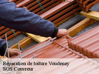 Réparation de toiture 21230