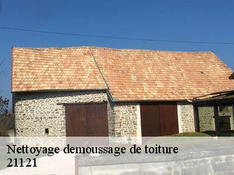 Nettoyage demoussage de toiture  21121