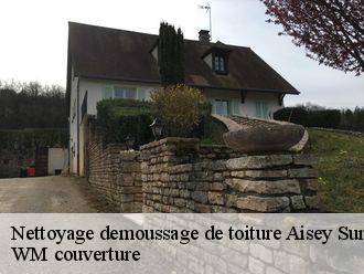 Nettoyage demoussage de toiture  aisey-sur-seine-21400 WM couverture