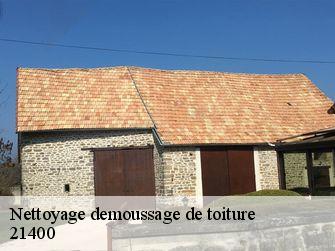 Nettoyage demoussage de toiture  21400