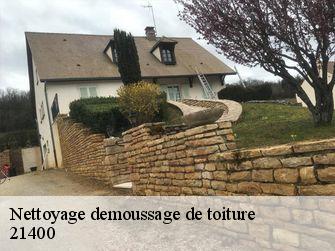 Nettoyage demoussage de toiture  21400