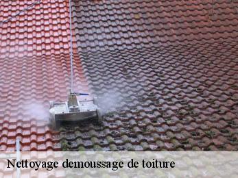 Nettoyage demoussage de toiture