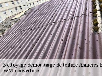 Nettoyage demoussage de toiture 21500