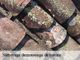 Nettoyage demoussage de toiture