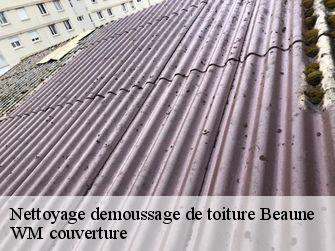 Nettoyage demoussage de toiture  21200