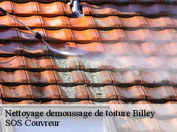 Nettoyage demoussage de toiture 21130