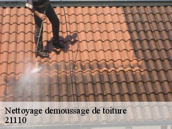 Nettoyage demoussage de toiture