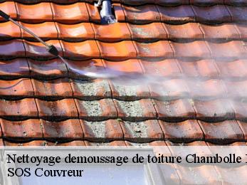Nettoyage demoussage de toiture  21220