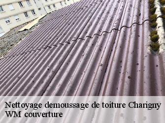 Nettoyage demoussage de toiture 21140