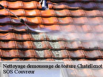 Nettoyage demoussage de toiture  21320