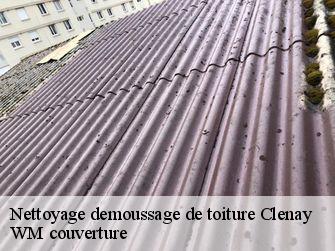 Nettoyage demoussage de toiture 21490