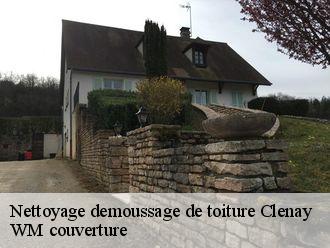 Nettoyage demoussage de toiture clenay-21490 WM couverture