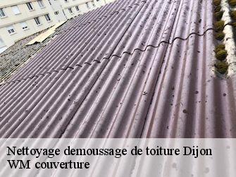 Nettoyage demoussage de toiture  21000