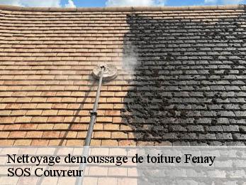 Nettoyage demoussage de toiture