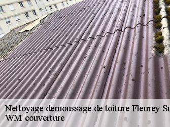 Nettoyage demoussage de toiture 21410