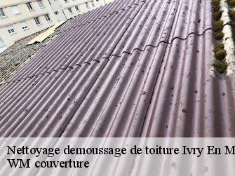 Nettoyage demoussage de toiture 21340