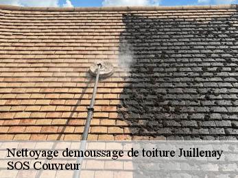 Nettoyage demoussage de toiture
