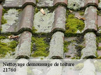 Nettoyage demoussage de toiture  21760