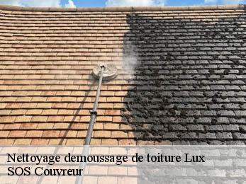 Nettoyage demoussage de toiture
