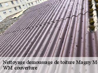 Nettoyage demoussage de toiture  21130