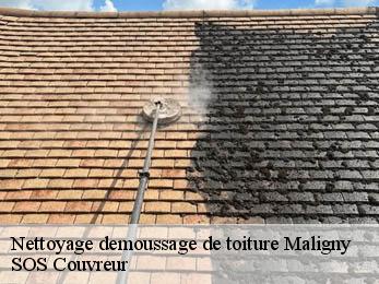 Nettoyage demoussage de toiture