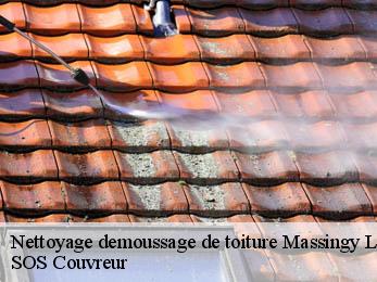 Nettoyage demoussage de toiture 21140
