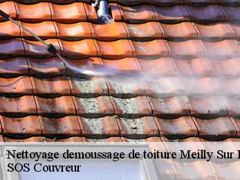 Nettoyage demoussage de toiture 21320