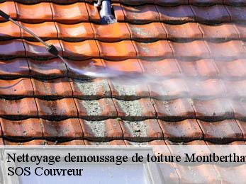 Nettoyage demoussage de toiture 21460