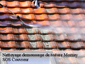 Nettoyage demoussage de toiture  21610