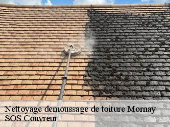 Nettoyage demoussage de toiture