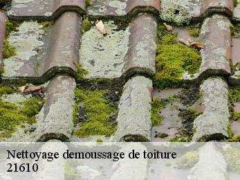 Nettoyage demoussage de toiture  21610