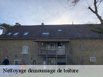 Nettoyage demoussage de toiture