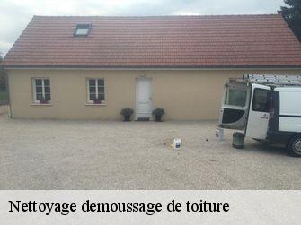 Nettoyage demoussage de toiture  21910