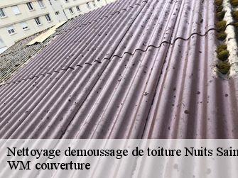 Nettoyage demoussage de toiture  21700