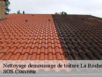 Nettoyage demoussage de toiture la-roche-en-brenil-21530 SOS Couvreur