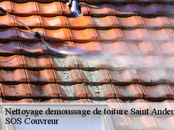 Nettoyage demoussage de toiture  21530