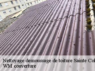 Nettoyage demoussage de toiture 21350