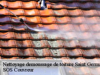 Nettoyage demoussage de toiture 21510