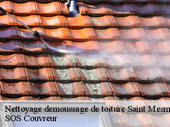 Nettoyage demoussage de toiture  21540