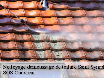 Nettoyage demoussage de toiture 21170