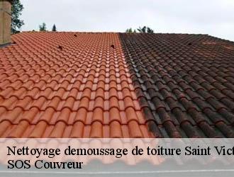 Nettoyage de toiture à Saint Victor Sur Ouche tél :03.59 ...