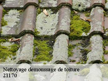 Nettoyage demoussage de toiture  21170