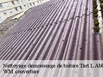 Nettoyage demoussage de toiture  21110