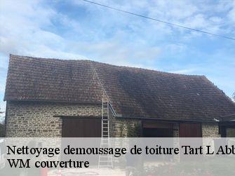 Nettoyage demoussage de toiture