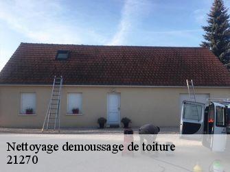 Nettoyage demoussage de toiture