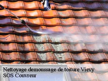 Nettoyage demoussage de toiture 21230